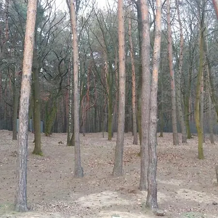 호텔 Poleczka Restauracja Kozieglowy (Greater Poland)