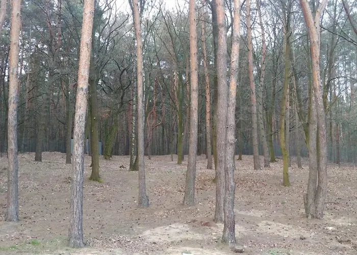 酒店 Poleczka Restauracja Kozieglowy (Greater Poland)